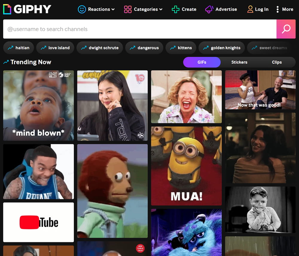 giphy.com.jpg