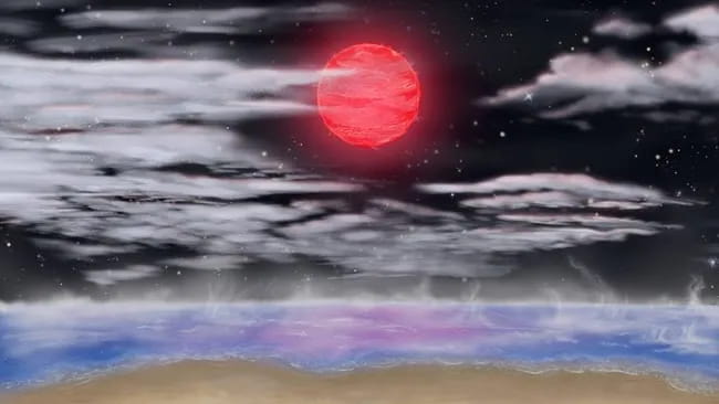 image.png