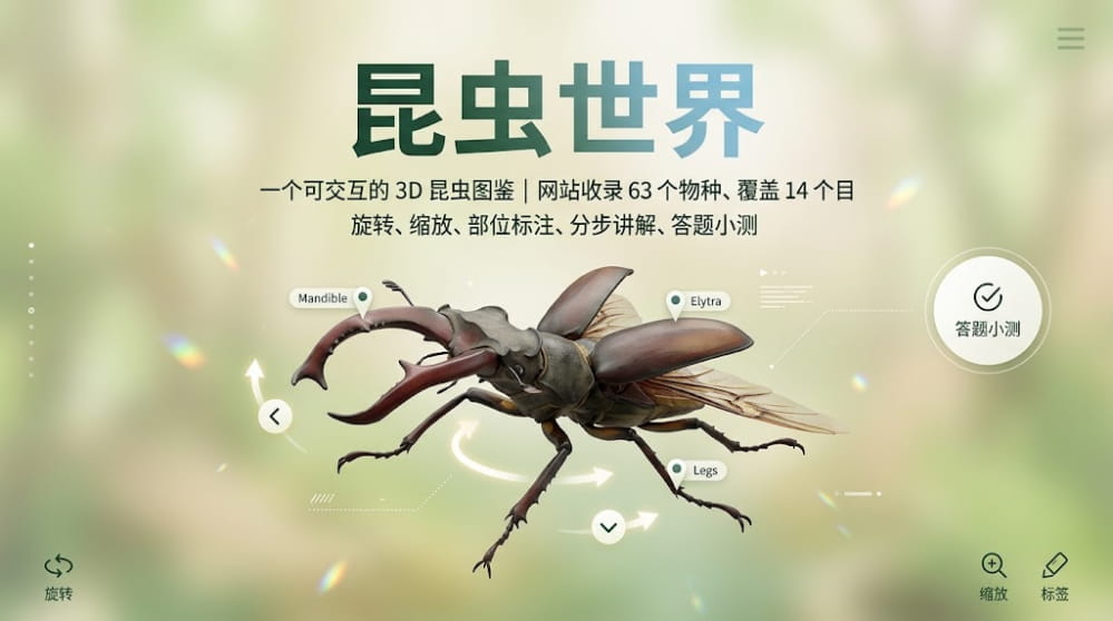 昆虫世界 | 一个可交互的 3D 昆虫图鉴 封面图